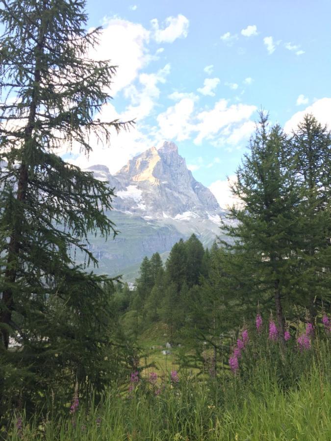 Complesso I Dadi - Condominio Cielo Alto Breuil-Cervinia Exteriér fotografie